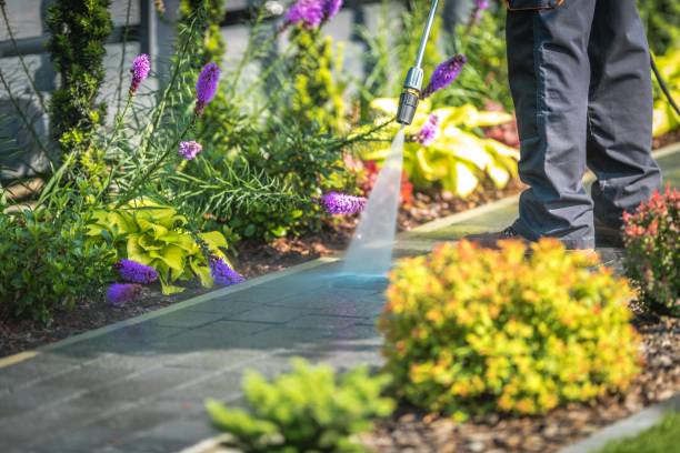  Rockville Centre, NY Pressure Washing Pros