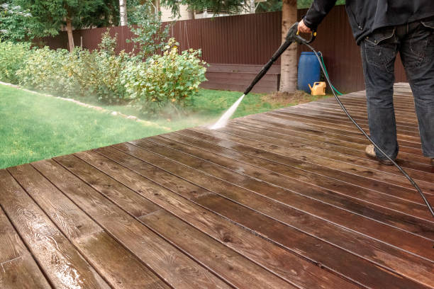 Best Animal Enclosure Cleaning  in Rockville Centre, NY